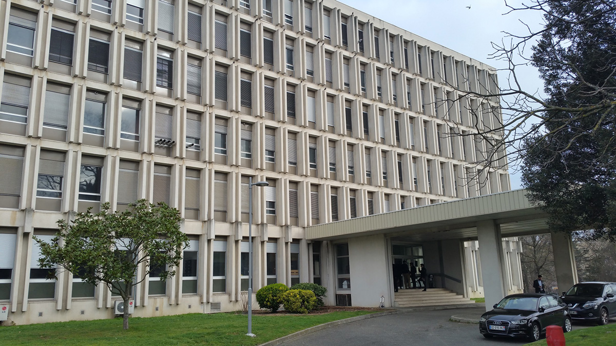 40 Ans Faculté De Chirurgie Dentaire De Toulouse